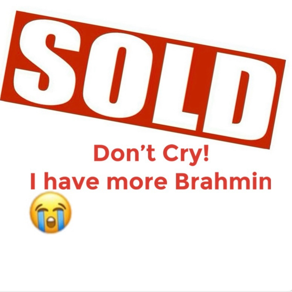 Brahmin Collection Available